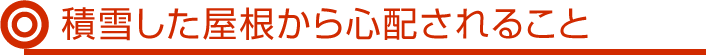 積雪した屋根から心配されること